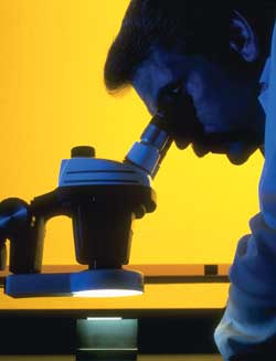 Oil analysis lab technician looking at an oil sample through a microscope.